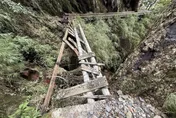 楊柳颱風強折玉山步道樹木、棧橋　登山路線持續封閉