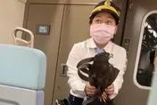 影/老鷹闖進台鐵區間車廂！　女列車長霸氣徒手制伏