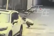 陸急診醫街頭射殺流浪貓！影片瘋傳被停職　網轟：這能當醫師？