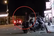 影/北市男子信義區深夜當街亮刀　警趕赴現場逮人送辦