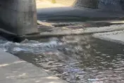 台中麻園頭溪見浮屍！臉朝下漂水面　是失聯3天老翁
