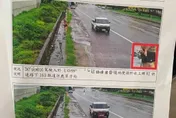 嘉義男路邊尿尿遭天眼拍下！罰單附「清晰放大特寫」噴1200