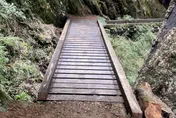 玉山入園6路線8/19開放　關山、庫哈諾辛山線路段續封