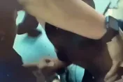 影/連警察都敢打！新竹醉男鬧早餐店遭壓制