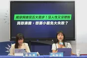 國民黨痛批民進黨「五大奧步」　籲民眾823出來投票