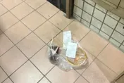 影/外送員上樓嫌麻煩？　新莊女目睹餐點遭砸牆報警提告