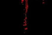 史丹佛研究「一滴血揭腦齡」可預測失智風險