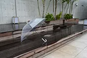 撿了幽魂傘變成冥婚妻　小工班人生開掛變營造大老闆