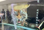 影/竹檢破獲跨境詐騙機房！專騙大陸人　詐騙金額逾10億