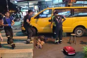 影/忘拉手煞車倒退嚕！東港運將肉身阻擋　遭捲車底亡
