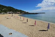 大武崙沙灘遭業者插滿陽傘　遊客怒：沒付錢沒資格停留？
