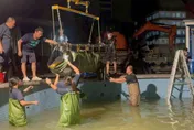 影/宜蘭蘇澳驚見小抹香鯨擱淺　母子遭鯊魚攻擊不治