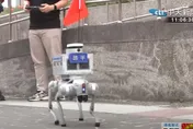 北市府引進機器狗綠議員憂慮　鍾沛君：按個鈕就成地獄三頭犬？
