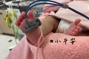 小平安轉院真相曝！挺過心臟手術　母淚揭「情況糟將氣切」