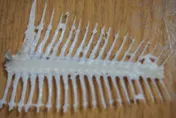 丟錯恐噴6千！新北市環保局：魚刺、骨頭算一般垃圾