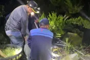 鬼月遇魔神仔？屏東翁採野菜失蹤8小時　在公墓旁大排尋獲