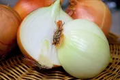 大蒜洋蔥韭菜是親戚！含「有機硫化物」抗發炎防血管老化