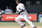 日職/揮棒落空不撿球棒！軟銀野手「侮辱裁判」遭逐出場罰款