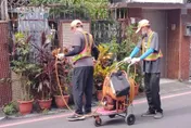 埃及斑蚊「破13度限制」 防高雄登革熱向北蔓延！