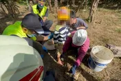 萬里5歲童誤中阿公「山豬吊」陷阱　警消急救援