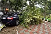 內湖瑪莎拉蒂「失控猛撞」路樹與YouBike站　車頭全毀