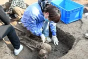 陸最新考古重大發現！8000多年前最早木棺出土