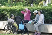 80歲免評巴氏量表　上路月餘3215人申請