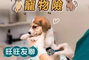 為毛小孩投保寵物險　保障門診、住院和手術費用