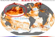 暖海水「日本擴展至北美」　鄭明典：明年氣候恐劇烈變化