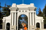 整治「清真泛化」！北京多所大學清真餐廳拆牌漢族可入內用餐