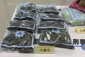 影/國際零食包裹夾藏6百萬毒品　移工情侶檔收貨遭逮