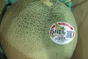 日本鮮蜜瓜驗出禁用農藥　台灣美耐皿餐具不合格全數退運