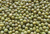 綠豆蓮子湯不只消暑！專家：富含抗氧化物質助抗發炎