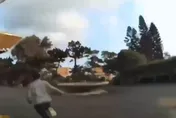 影/警追肇逃車輛5逃逸移工下車狂逃　一人跑進淡大遭逮