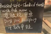 美網球后赴陸比賽！「蛙、鱉變食材」驚呆　爭議發言後道歉
