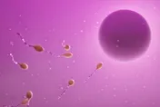 爸爸肚子大…孩子也會容易胖？研究：精子會記錄代謝狀態