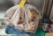 陸客攜肉鬆麵包金門闖關　拒繳20萬罰金遭原船遣返