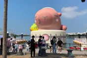 影/樺加沙攪局！安平12米高「卡比胖拉」洩氣放颱風假