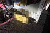 武嶺淪棄屍場！紙箱藏狗屍飄惡臭　太管處將開罰緝兇