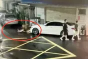 影/新北路倒男攻擊救護人員　遭上銬管束強制送醫