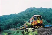 台鐵內灣線「合興-九讚頭」區間車碰撞事故　83歲晨運婦喪命