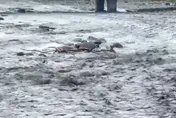 颱風環流超恐怖！14縣市豪雨特報　3地水量灌到紫爆