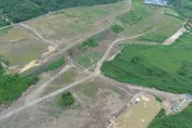 影/高雄大樹光電板破壞2.5萬平方米山林地　業者父子遭起訴