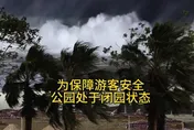 影/剉著等！樺加沙料下午登陸廣東　深圳已掀「海嘯巨浪」