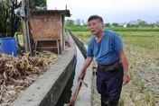 國家級災難！竹市汞米濃度爆量　公糧染毒恐成營養午餐