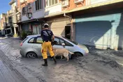 影/花蓮光復遭重創！高市特搜隊45人5犬連夜馳援救災
