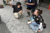 轟沈伯洋花蓮救災「作秀」！郭正亮嗆：若選縣長保證落選