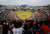 史上新高！韓職進場觀眾破1200萬人　門票總收入逾43億