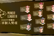 中職/二軍年度獎項出爐　聯盟三振王衛蘭德已退休