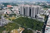 桃園社宅變身寵物天堂：大綠帶＋友善空間　住戶帶毛孩住得安心